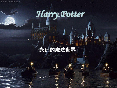 总介绍：难忘HarryPotter