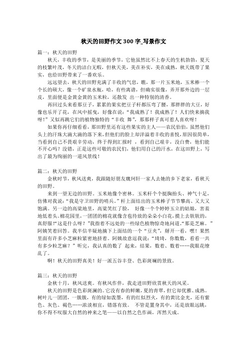 秋天的田野作文300字_写景作文_1