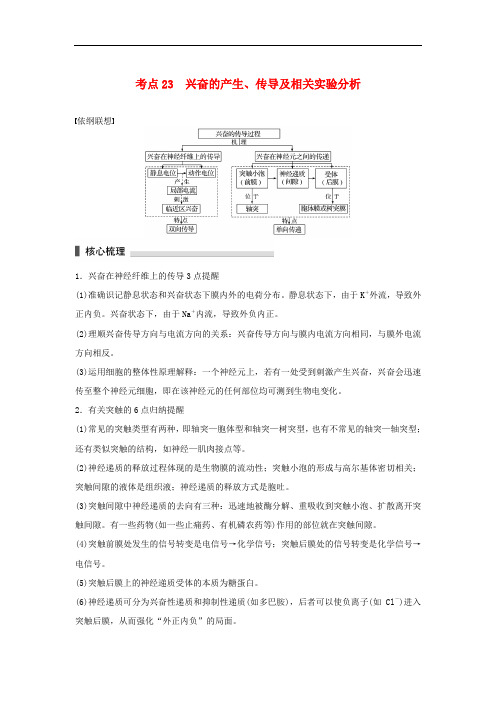 高考生物二轮复习 考前三个月 专题7 人体的稳态及调节机制 考点23 兴奋的产生、传导及相关实验分析