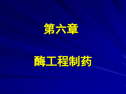 酶工程制药.ppt