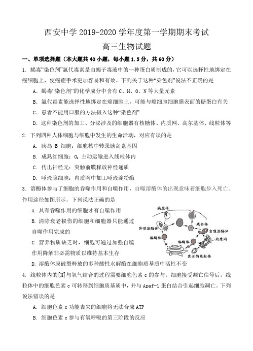 陕西省西安中学2020届高三上学期期末考试 生物试题-含答案