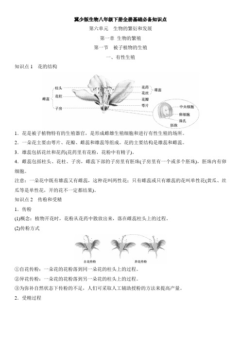 2023-2024学年冀少版生物八年级下册基础必备知识点