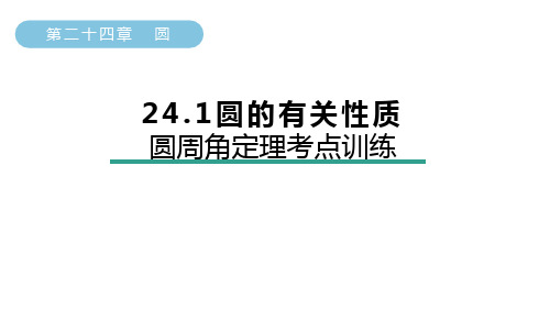 圆的有关性质-圆周角定理考点训练课件人教版数学九年级上册