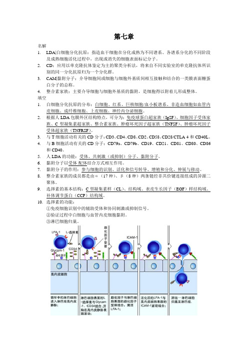 第7章 白细胞分化抗原和黏附因子