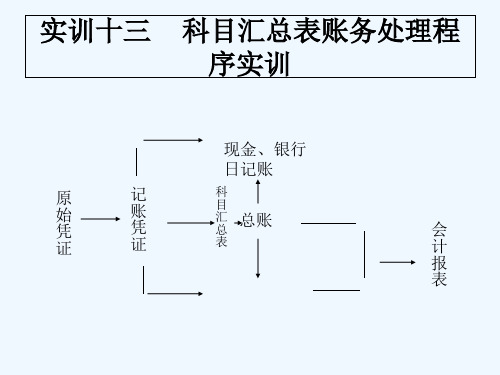 实训十三,科目汇总表 PPT