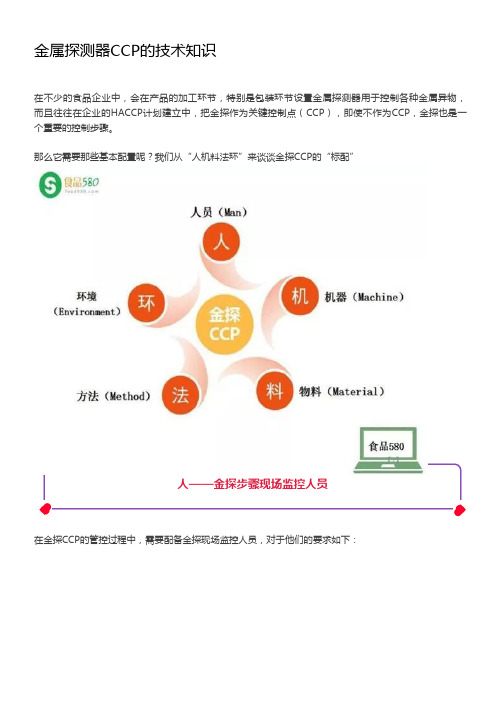 金属探测器CCP的知识大全