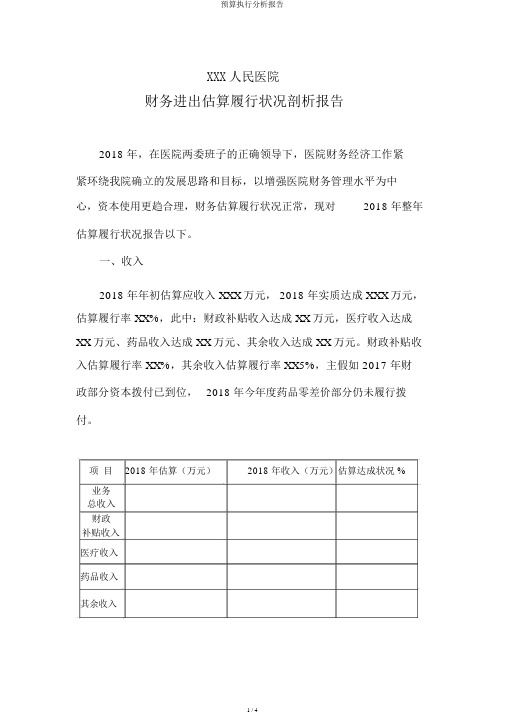 预算执行分析报告