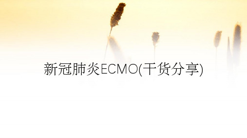 新冠肺炎ECMO(干货分享)