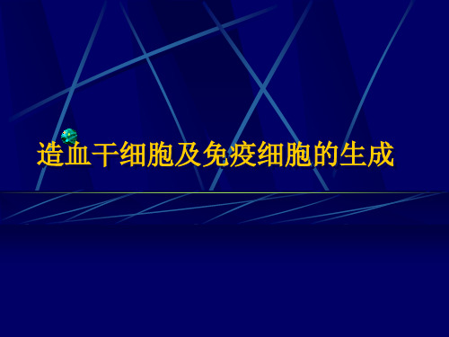 造血干细胞及免疫细胞的生成