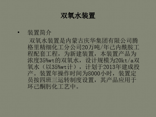 双氧水装置简介