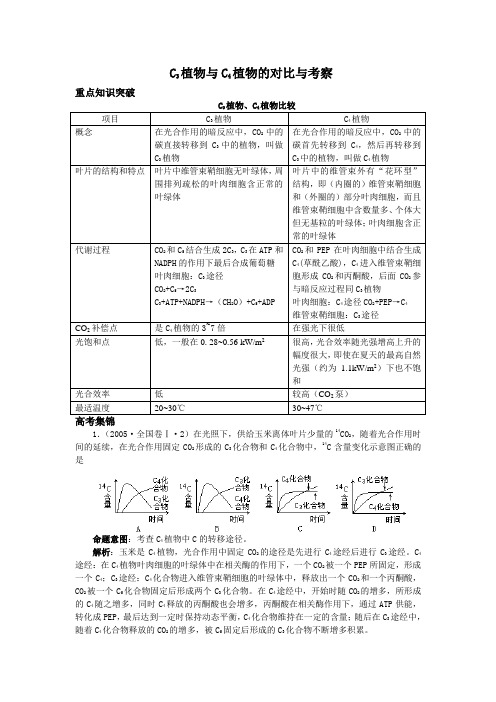 高二生物C3植物与C4植物的对比与考察