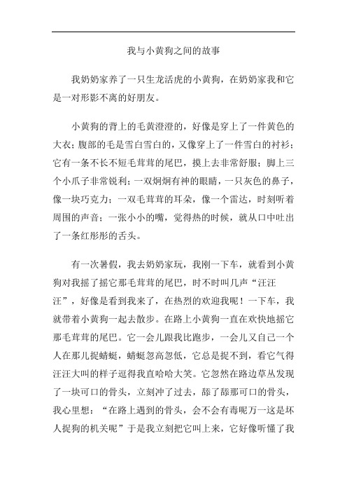 我与小黄狗之间的故事