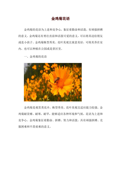 金鸡菊花语