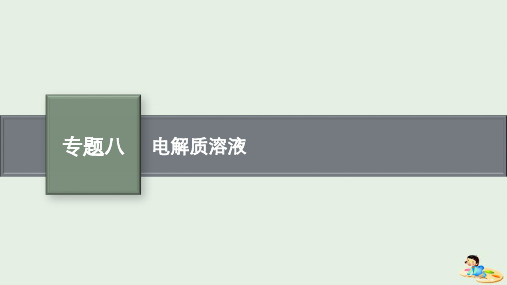 2023版高考化学二轮复习专题八电解质溶液课件