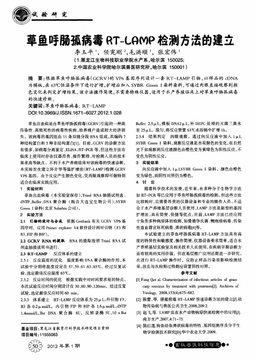 草鱼呼肠孤病毒RT—LAMP检测方法的建立