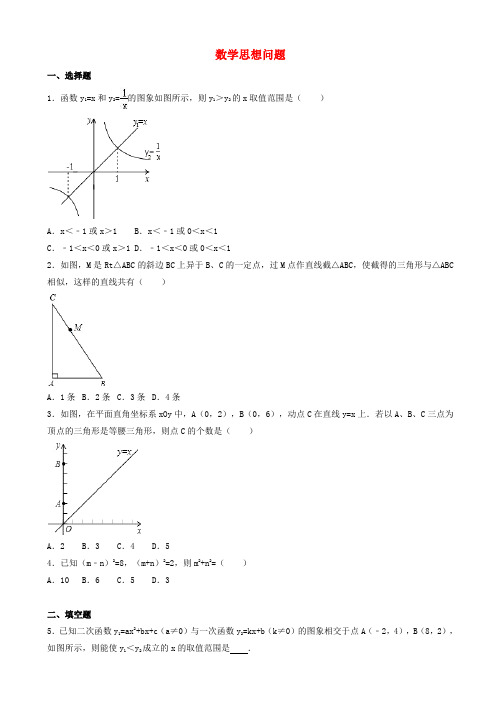 中考数学总复习训练数学思想问题含解析