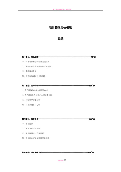 地产项目总体定位模板