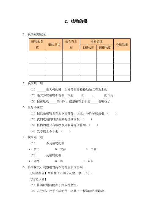 《植物的根》课堂评价