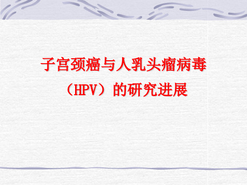 HPV基因诊断试剂盒