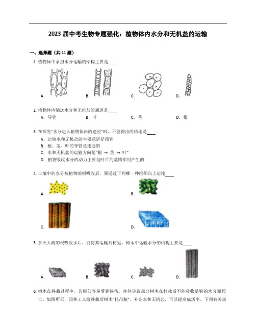 2023届中考生物专题强化训练：植物体内水分和无机盐的运输(含答案)