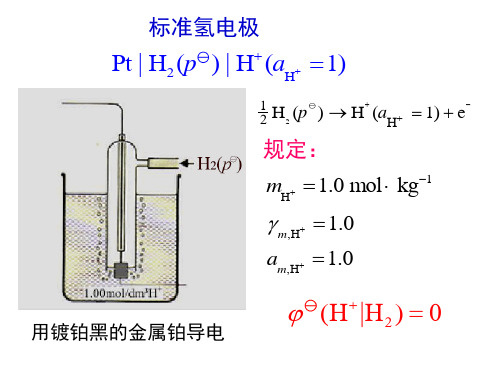 电极电势和电池的电动势