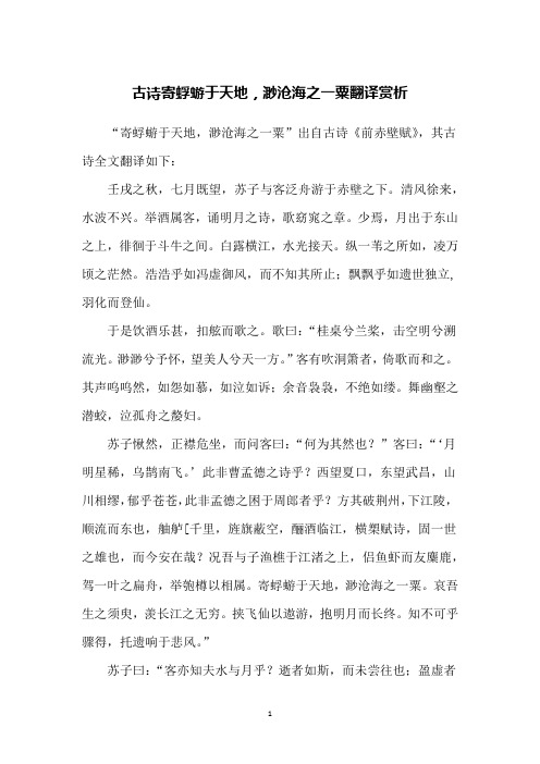 古诗寄蜉蝣于天地,渺沧海之一粟翻译赏析