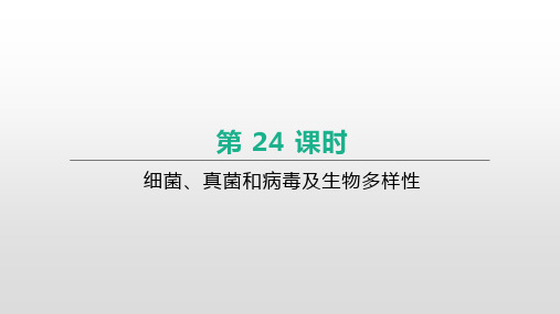 2021年北京中考生物一轮复习课件：第24课时 细菌、真菌和病毒及生物多样性