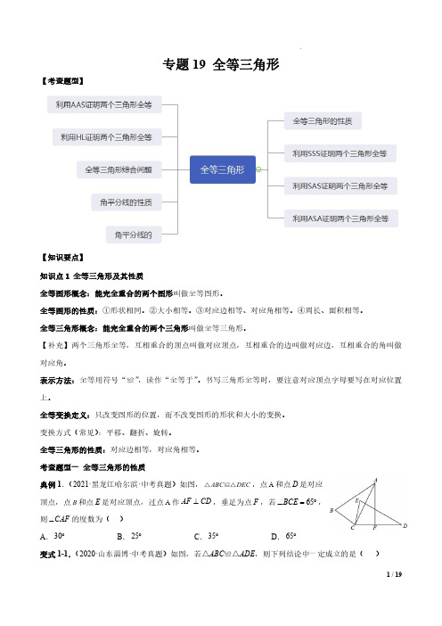 专题19 全等三角形(原卷版)