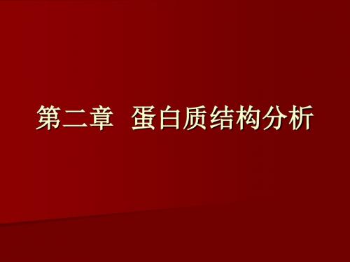 蛋白质结构分析-精选文档