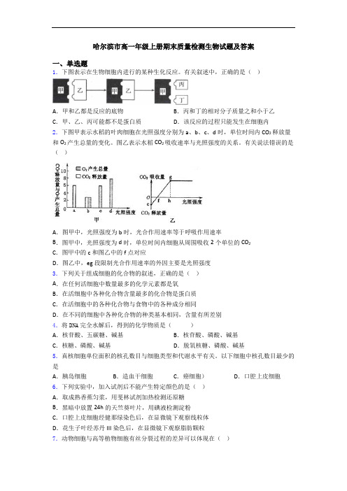 哈尔滨市高一年级上册期末质量检测生物试题及答案