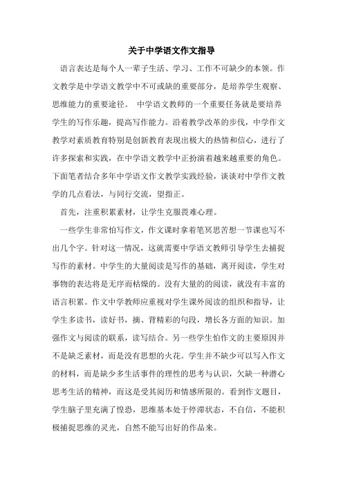 关于中学语文作文指导