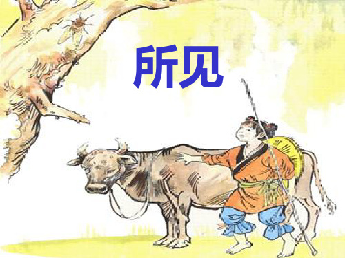 13.古诗两首 所见 小池