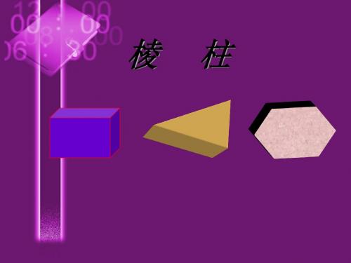 棱柱的概念 PPT课件 人教课标版