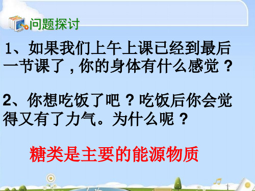 人教版高中生物必修一第2章第4节细胞中的糖类和脂质  课件(共33张PPT)