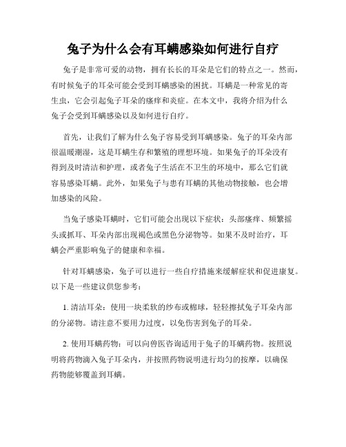 兔子为什么会有耳螨感染如何进行自疗