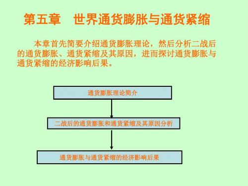 第5章世界通货膨胀与通货紧缩-精品文档