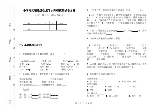 小学语文精选综合复习小升初模拟试卷A卷