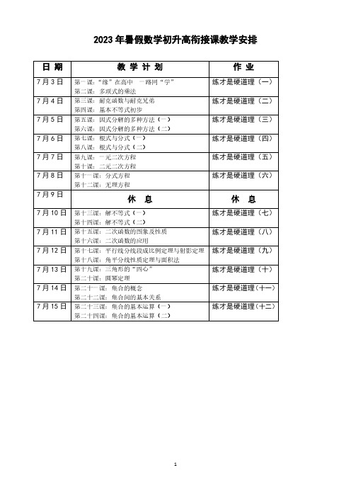 2024年初升高衔接课教学规划