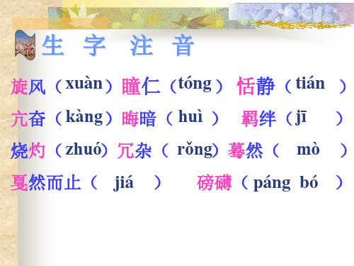 六年级上册语文课件14.安塞腰鼓10 苏教版(共14张PPT)