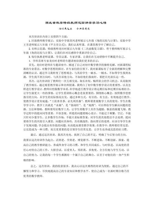 湖北省数学特级教师巡回讲学学习心得