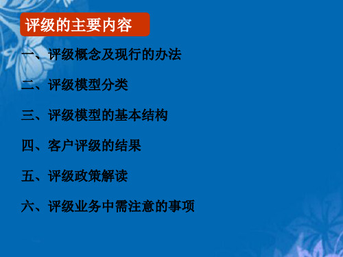 法人评级授信及业务审查要点介绍(2017.10)