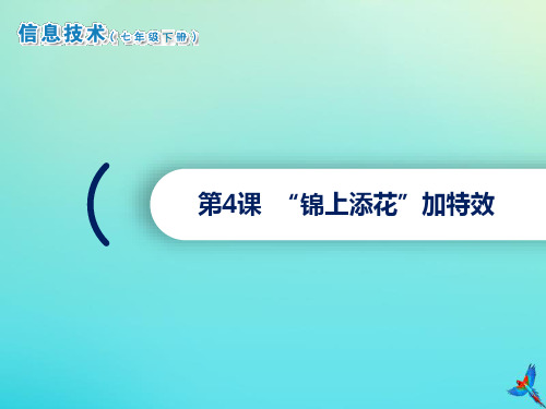 2020七年级信息技术下册第4课“锦上添花”加特效课件南方版