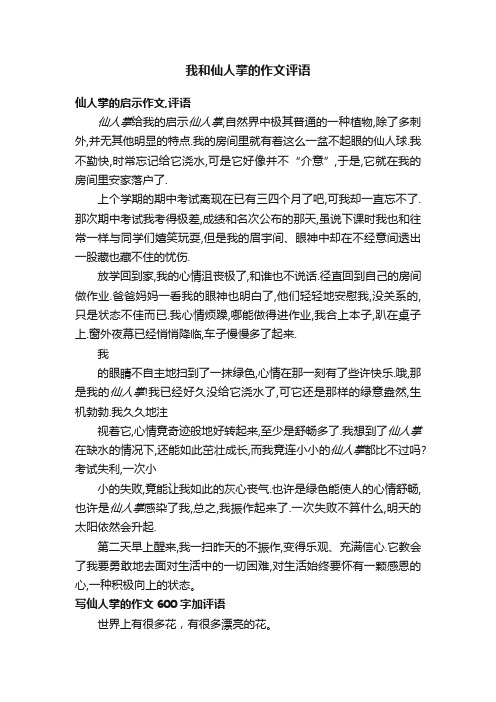 我和仙人掌的作文评语