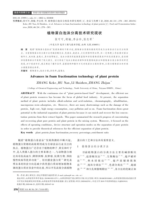 植物蛋白泡沫分离技术研究现状