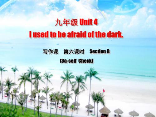 (水滴系列)九年级英语全册 Unit 4 I used to be afraid of the dark(第6课时)Section B(3a-Self Check