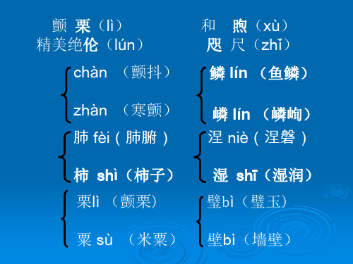 蔚蓝的王国PPT课件32 苏教版 (共25张PPT)