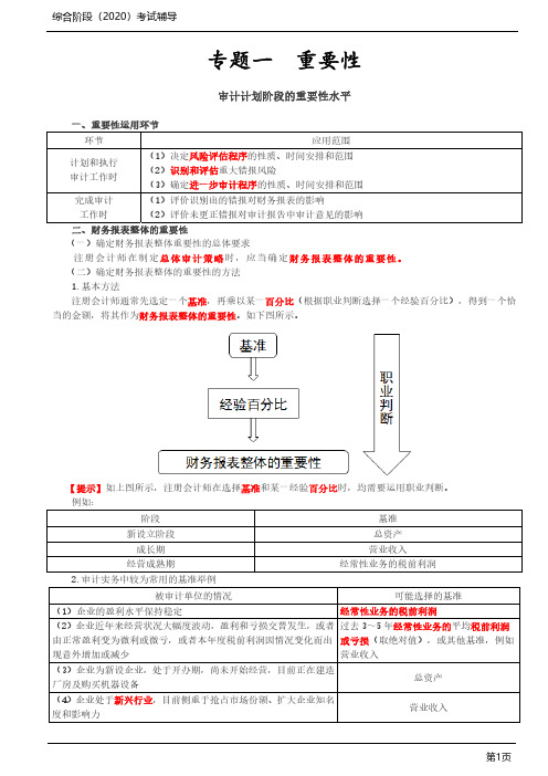 2020年CPA_审计专题分析详解