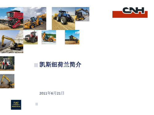 公司简介 CNH Globle & in China - 2011June meeting-2