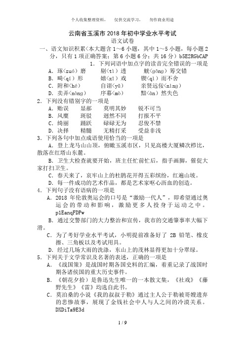 云南省玉溪市中考语文试卷含答案