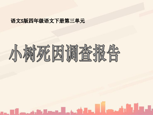 语文S版语文四下《小树死因调查报告》ppt课件3